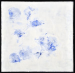 50 x 50 cm 