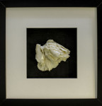 25 x 25 cm