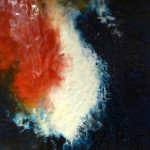 50 x 50 cm 